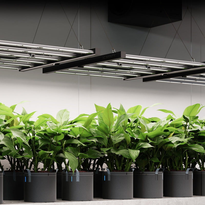 AC Infinity - Ionframe EVO8 | Samsung LM301H EVO 730 Watt | 5x5 Ft or 150x150CM