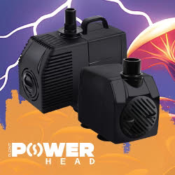 Plont - Powerheads | Submersible Water Pump | PPH 450 / 600 / 1100 / 1300 / 1500 / 2000 / 2500 / 3000 / 4000