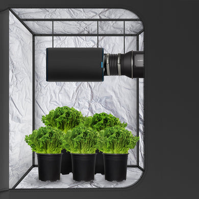 AC Infinity- Carbon Filter | Australian Charcoal | 12 Inch / 300 MM