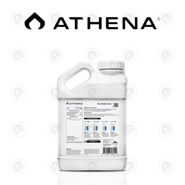 Athena - PK | Bloom Boosting
