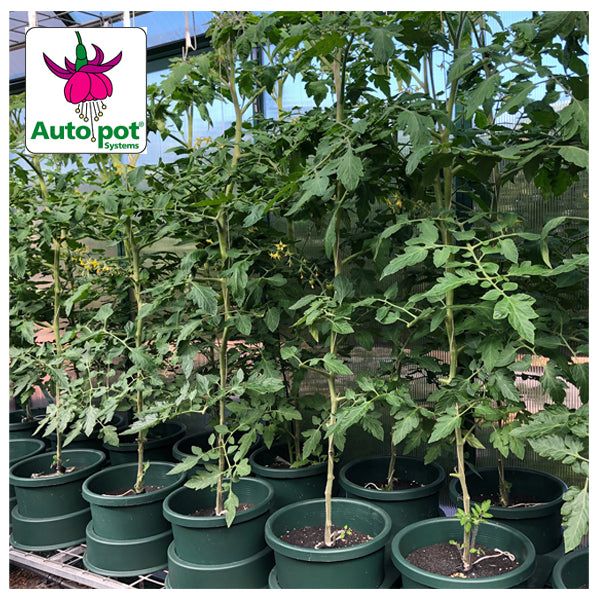 Autopot - Hydropak Double 10" Inch Module Kit | 8 Pots Kit | Wicking System