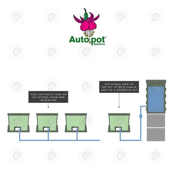 Autopot - Hydropak Double 10" Inch Module Starter Kit | 2 Pots Kit | Wicking System