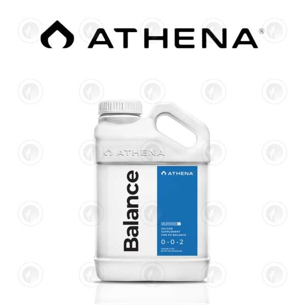 Athena - Blended | Balance | Silicon Supplement For pH Stabilizer
