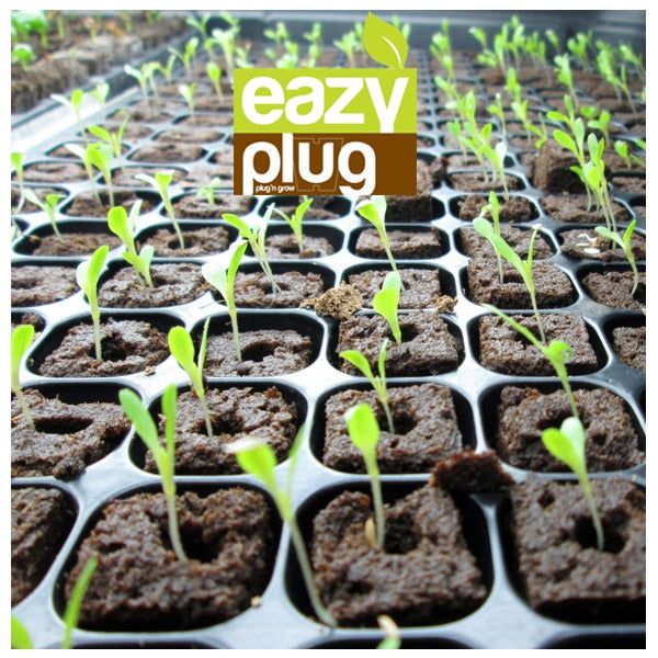 Eazy Plug - 12/24/66/77 Cube | Starter Pack | Seeding/Cloning Propagation Tray