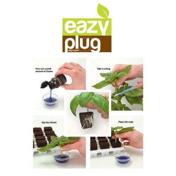 Eazy Plug - 12/24/66/77 Cube | Starter Pack | Seeding/Cloning Propagation Tray