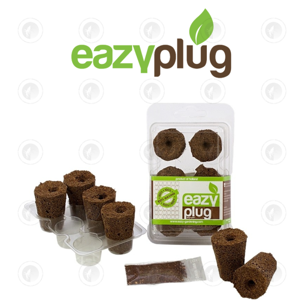 Eazy Plug - 6 Plug | Sowing Set | Seeding/Cloning Propagation Tray