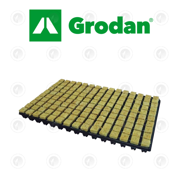 Grodan - SBS Rockwool Grow Cubes | 36MM | 77 Cubes | w/ Tray | Propagation Medium