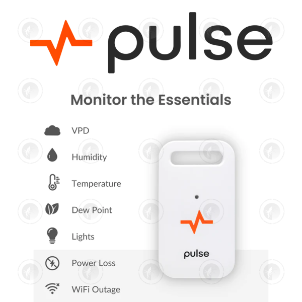 Pulse - One Smart Environment Monitor | VPD | RH | Temperature | Dew Point | Light Sensor