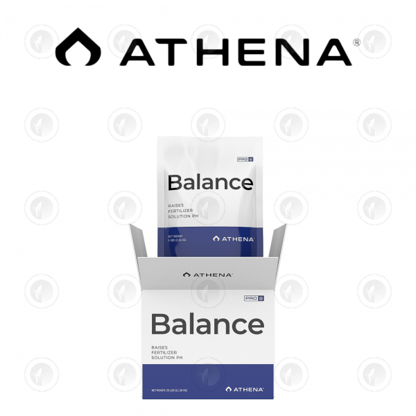 Athena - Pro Line Balance | 4.53KG / 11.34KG