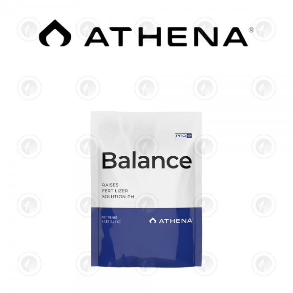 Athena - Pro Line Balance | 4.53KG / 11.34KG
