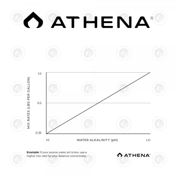 Athena - Pro Line Balance | 4.53KG / 11.34KG