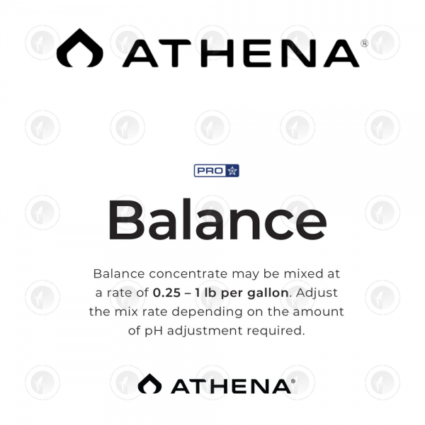 Athena - Pro Line Balance | 4.53KG / 11.34KG