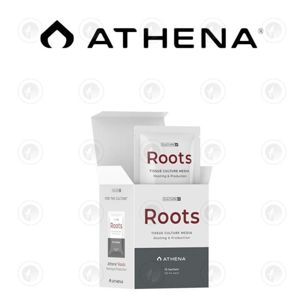 Athena - Roots Culture Media | Pack of 10 | 125ML / 750ML