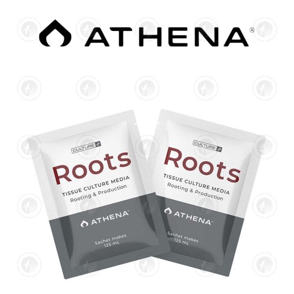 Athena - Roots Culture Media | Pack of 10 | 125ML / 750ML