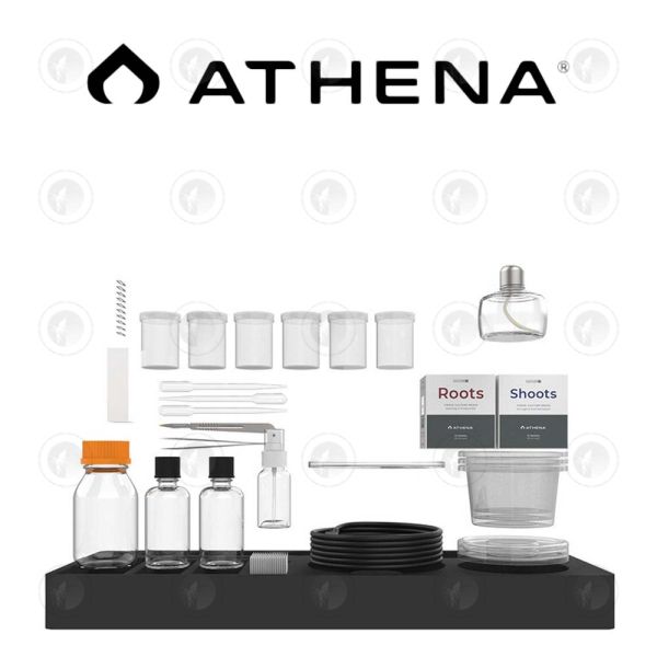 Athena - Tissue Culture Kit | Full Kit