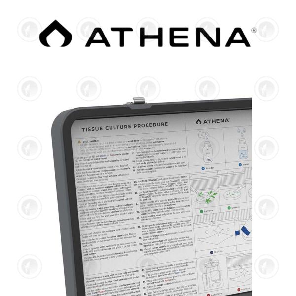 Athena - Tissue Culture Kit | Full Kit
