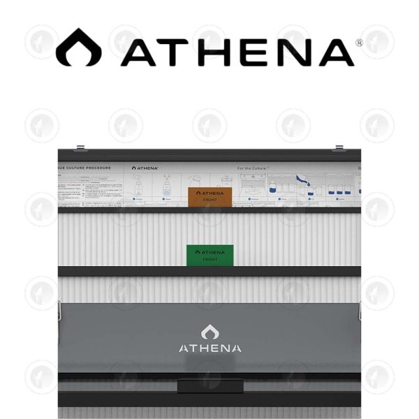 Athena - Tissue Culture Kit | Full Kit