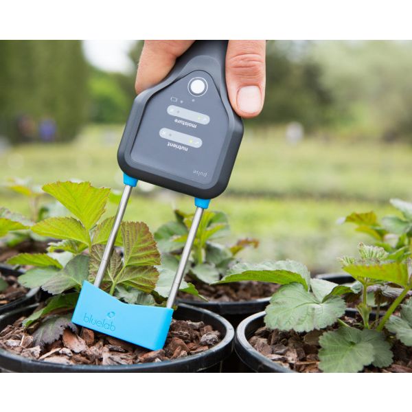 Bluelab - Pulse Meter | 3 in 1 | Moisture / Conductivity / Temperature