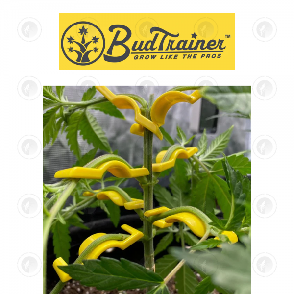 BudTrainer - BudClips™ 20pk | Universal Low Stress Training LST Clips