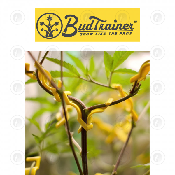 BudTrainer - BudClips™ 20pk | Universal Low Stress Training LST Clips