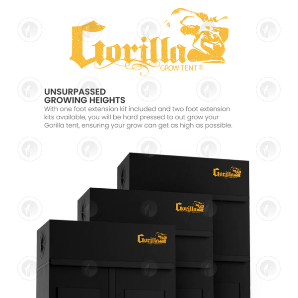 Gorilla - Grow Tent GGT88 | 8X8FT / 245CM x 245CM x (213CM - 244CM)