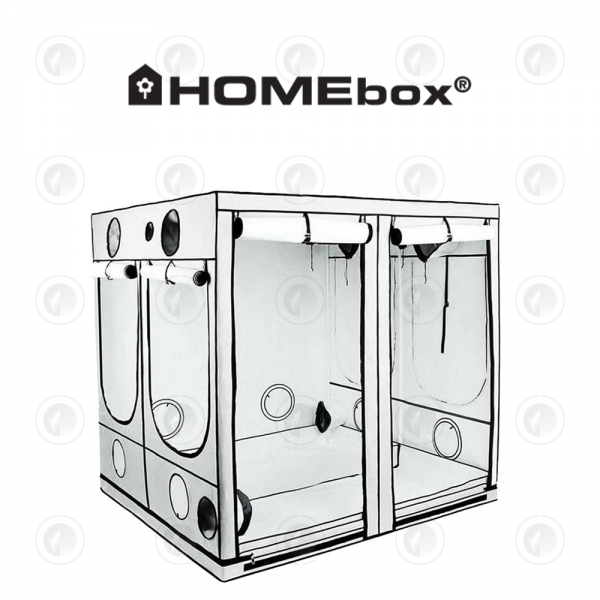HOMEbox - Ambient Grow Tent | AQ200+ | 2.0M X 2.0M X 2.2M | Comes In 2 Boxes