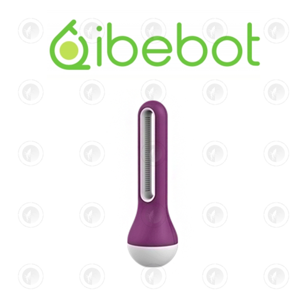 iBebot - Air Comfort | Temperature & Humidity Sensor | Wireless Monitor & Record | Phone Linkable