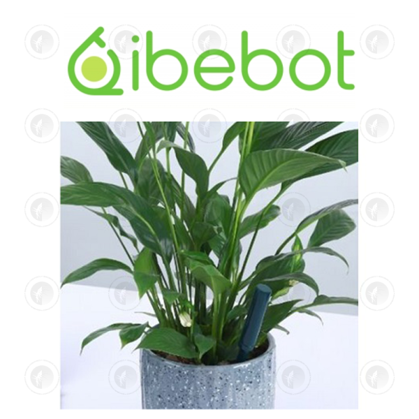 iBebot - Soil Quality Sensor | Soil Moisture & Nutrient Sensor | Cloud Based