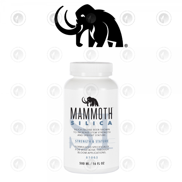 Mammoth - Silica Si | 250ML / 500ML / 1L / 3.78L