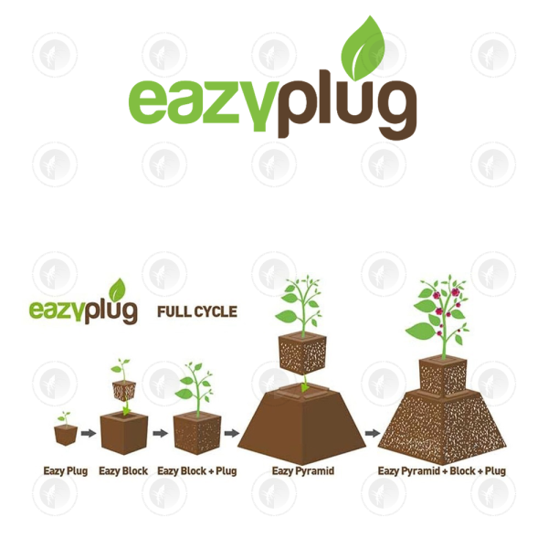 Eazy Plug - Square Cube Block | Growing Media