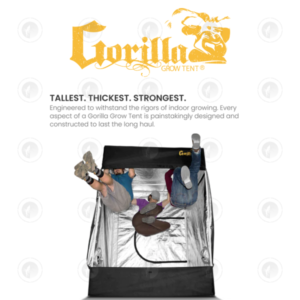 Gorilla - Grow Tent | GGT33 | 3X3FT / 91CM X 91CM X (213CM - 244CM)