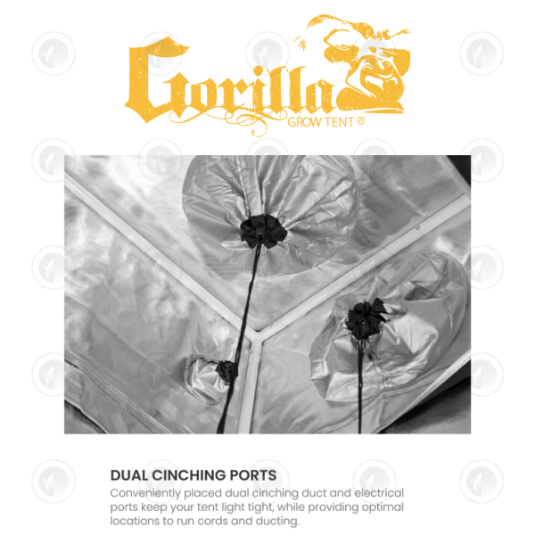 Gorilla - Grow Tent | GGT33 | 3X3FT / 91CM X 91CM X (213CM - 244CM)