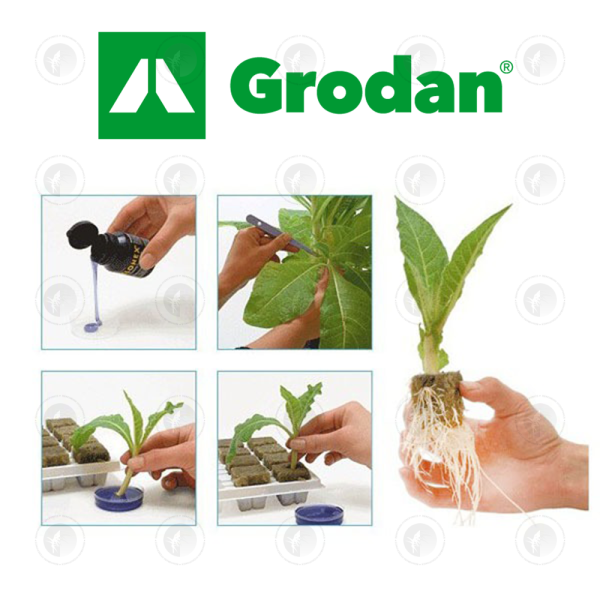 Grodan - Wrapped Rockwool | Propagation Cloning / Seed Cube - 40MM X 40MM