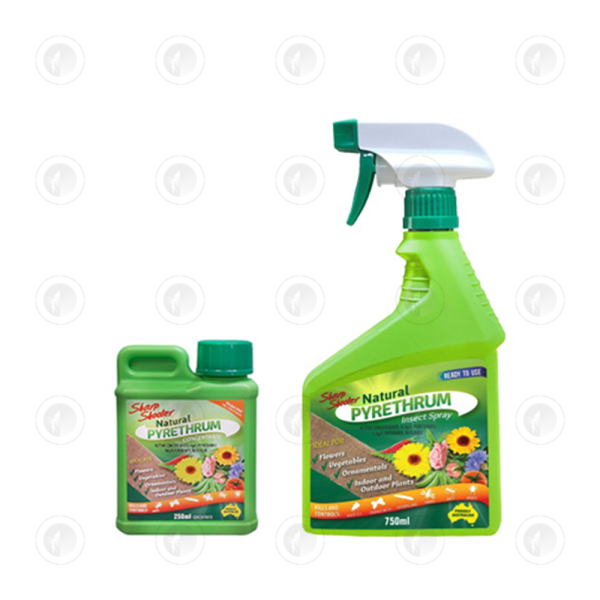 Sharp Shooter - Natural Pyrethrum | 750ML Spray or 250ML Concentrate | Prevents Aphids,Thrips & Whitefly