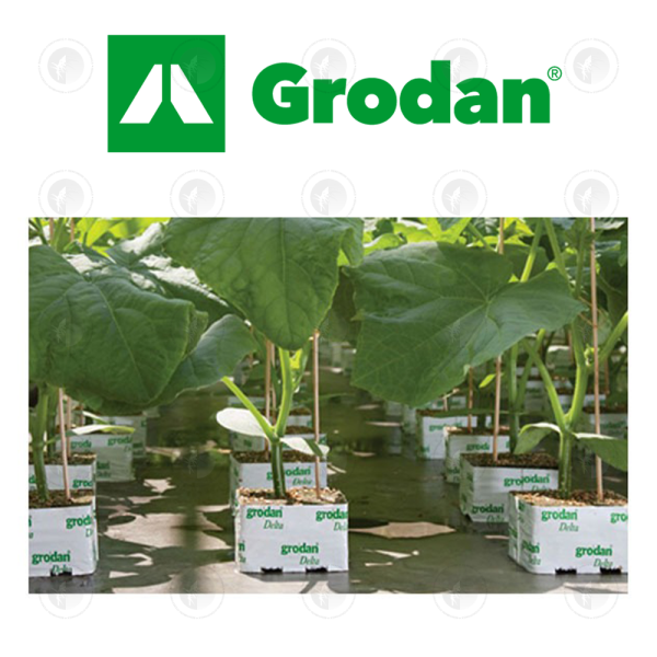 Grodan Cube Delta 8G Block - 100MM x 100MM | With Hole