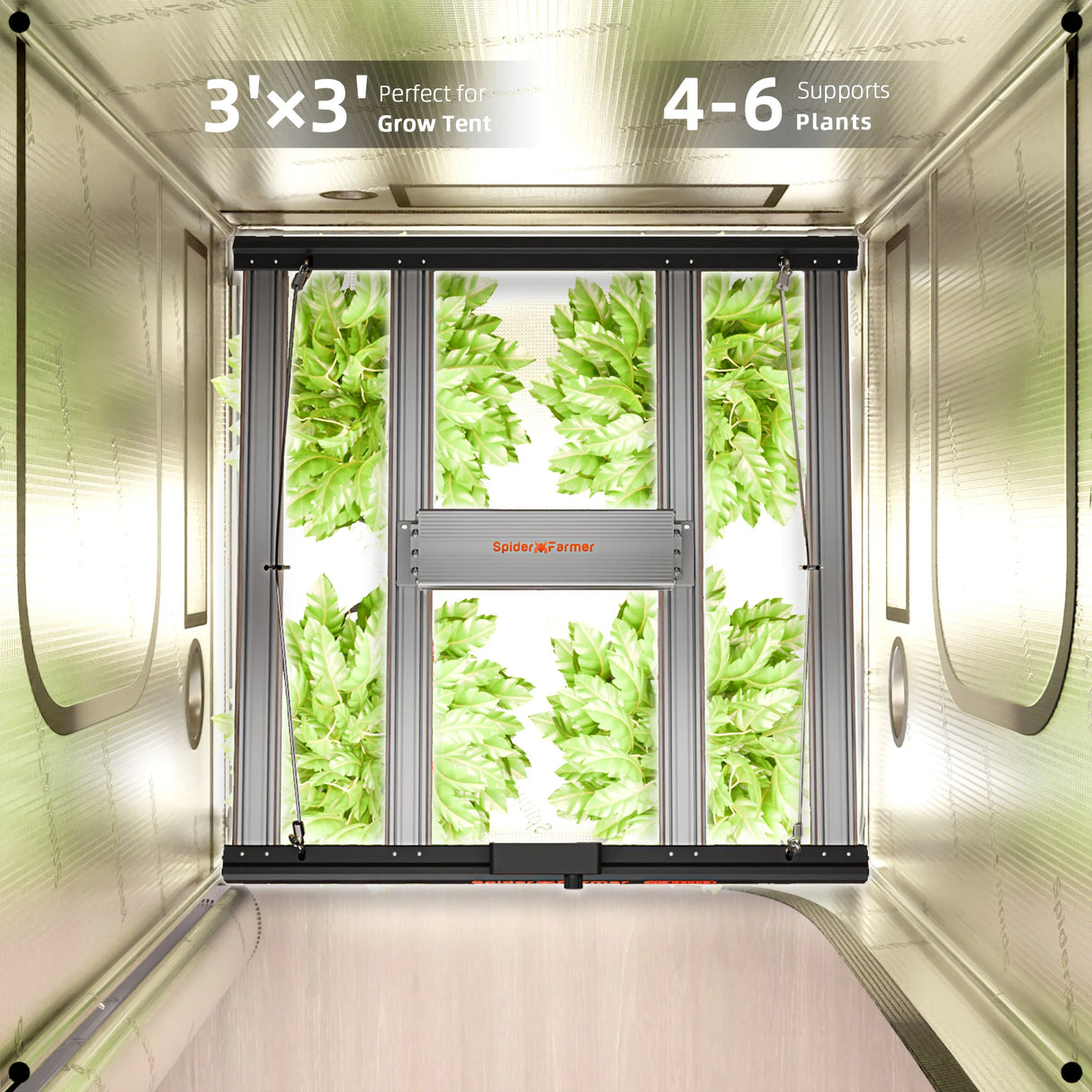 Spider Farmer - G3000 | 300W | WiFi & Bluetooth App-Controlled | Dimmable | Full Spectrum LED Grow Light for 3’x3′ (90 x 90cm) | 2025