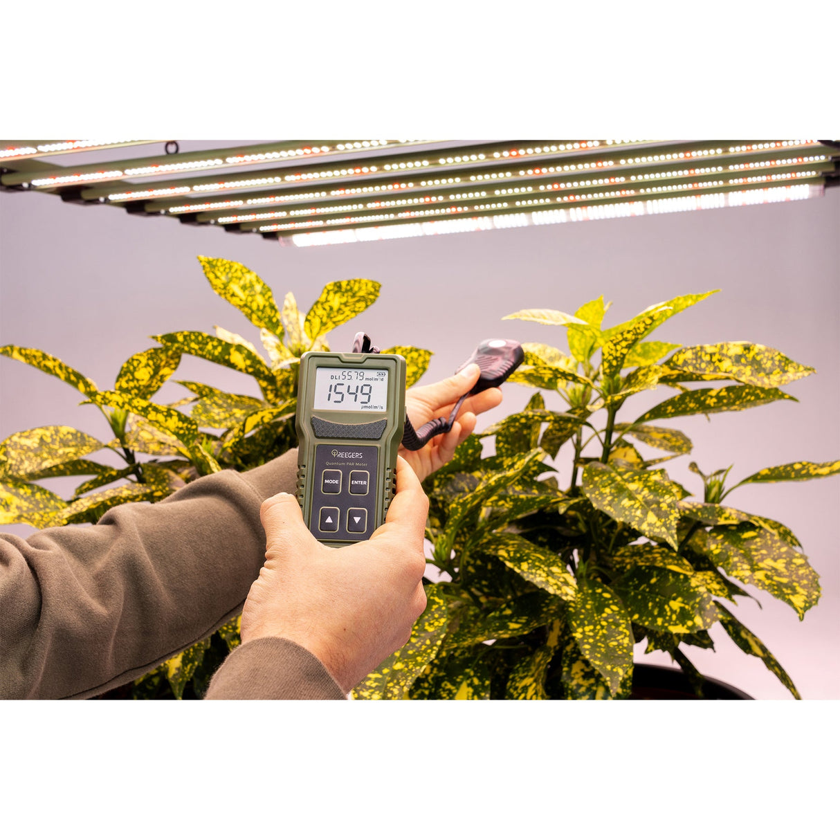 Treegers - Quantum PAR Meter | PPFD Range: 400 TO 700NM | Remote Quantum Sensor For Precise Readings