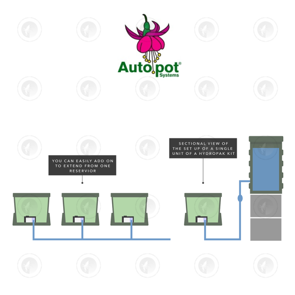 Autopot Hydropak Double 10" Inch Module Starter Kit | 2 Pots Kit | Wicking System