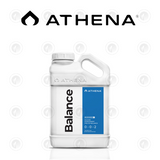 Athena Blended - Balance | Silicon Supplement For pH Stabilizer