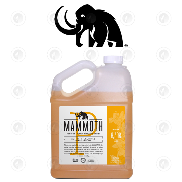 Mammoth P / Microbe Phosphorus Booster - 120ML / 250ML / 500ML / 1L / 4L