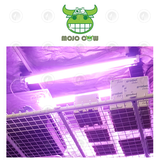 Mojo Cow PS-1 Light System - 2 x 24W | 6400K or 8500K | White or Purple | T5HO | Propagation Light