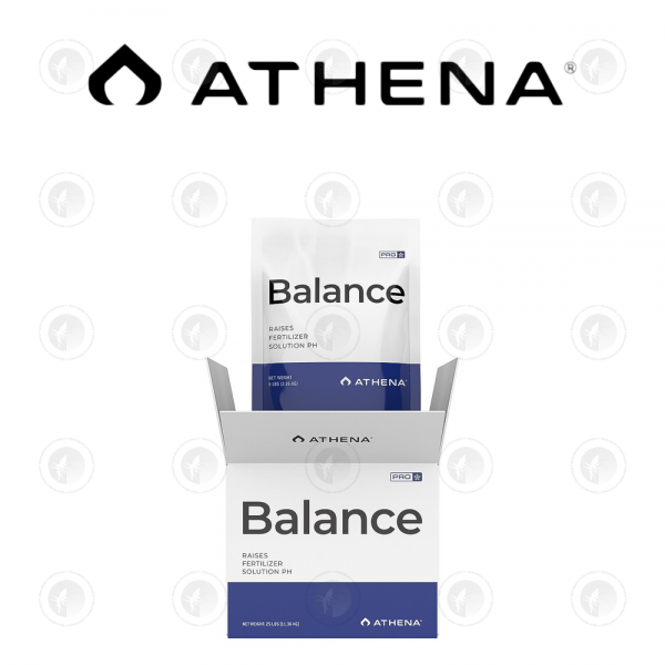 Athena Pro Line Balance - 4.53KG | 11.34KG