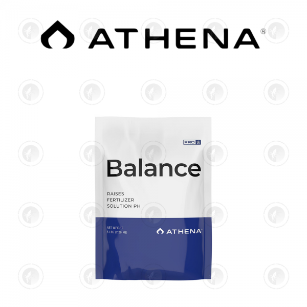 Athena Pro Line Balance - 4.53KG | 11.34KG