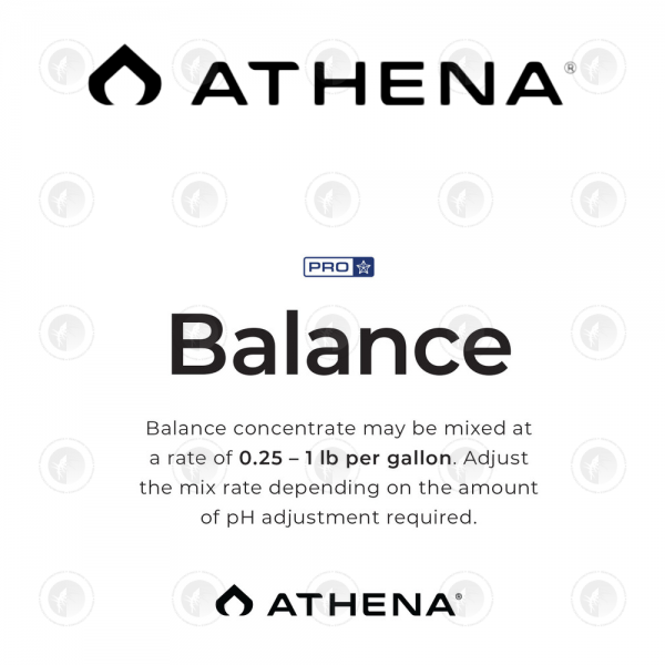 Athena Pro Line Balance - 4.53KG | 11.34KG