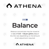 Athena Pro Line Balance - 4.53KG | 11.34KG