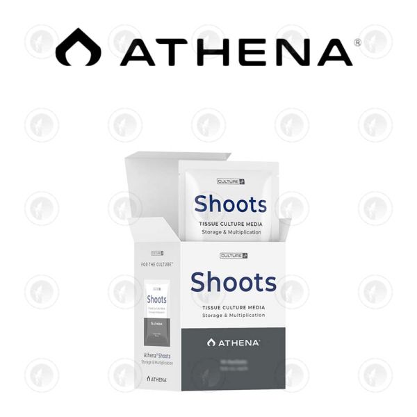 Athena Shoots Culture Media (Pack of 10) - 125ML / 750ML