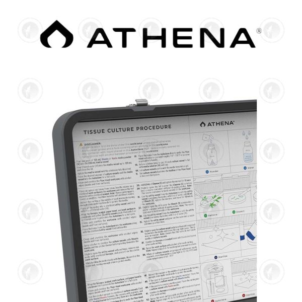 Athena Tissue Culture - Complete Kit