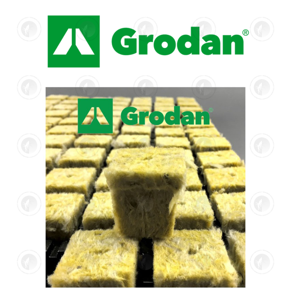 Grodan SBS Rockwool Grow Cubes | 36MM | 77 Cubes | w/ Tray | Propagation Medium