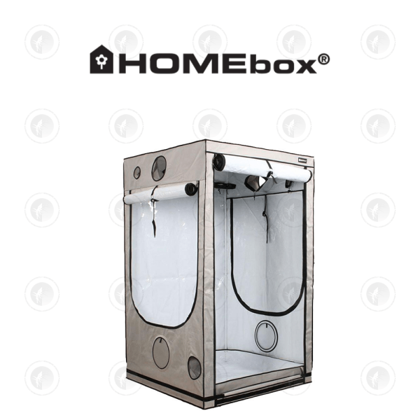 HOMEbox Ambient Grow Tent - AQ120+ | 1.2M X 1.2M X 2.2M