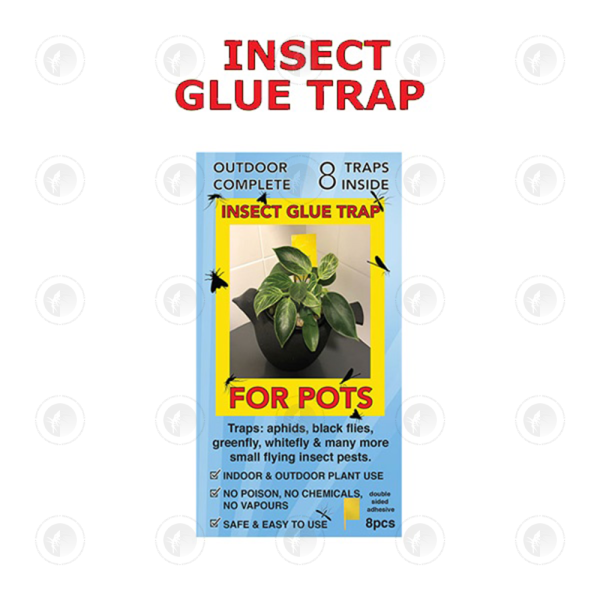 Insect Glue Trap  8 Pack - 6CM x 8CM | Double Sided | On Sticks For Pots